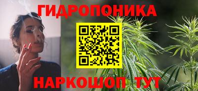 гашик Тулун