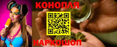 гашик Тулун